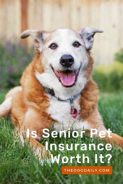 seniors pet insurance phone number.